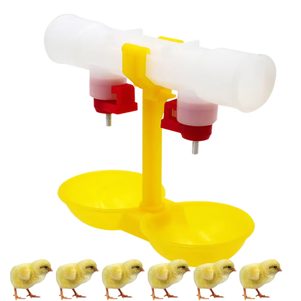5/10/20Pcs Tempat Minum Ayam M - Zwitsal Baby Products ulasan dan harga