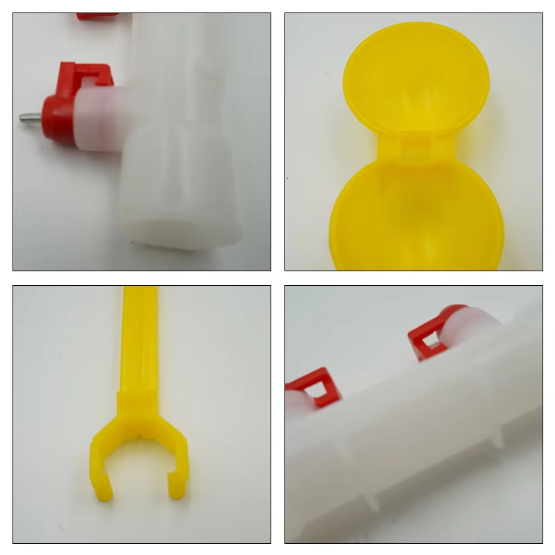 5/10/20Pcs Tempat Minum Ayam M - Zwitsal Baby Products ulasan dan harga