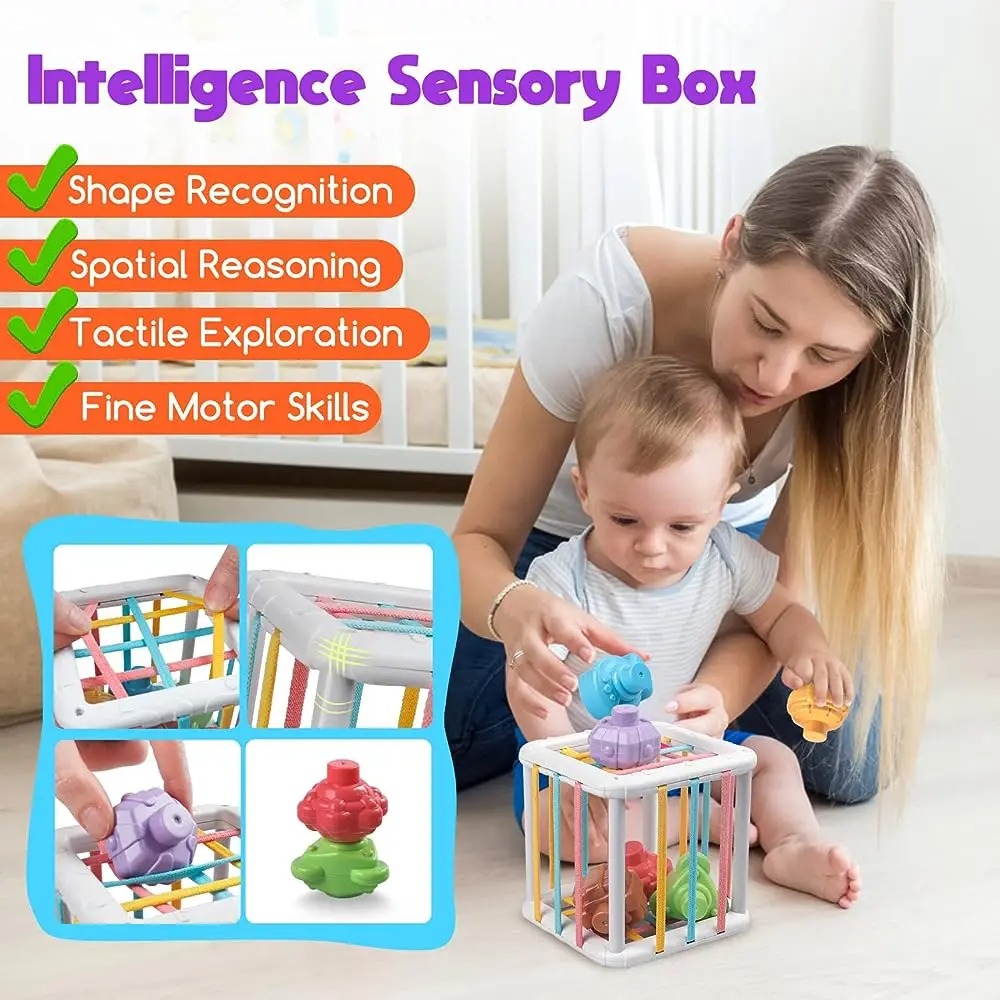 Mainan Edukasi Kognitif Pelati - Baby Products Toys ulasan dan harga